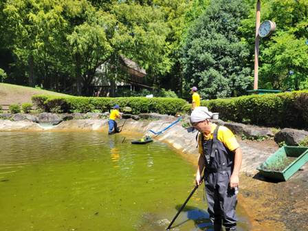 【衝撃】 池 の 水 全部 抜く 徹底解説＆真相まとめ #600