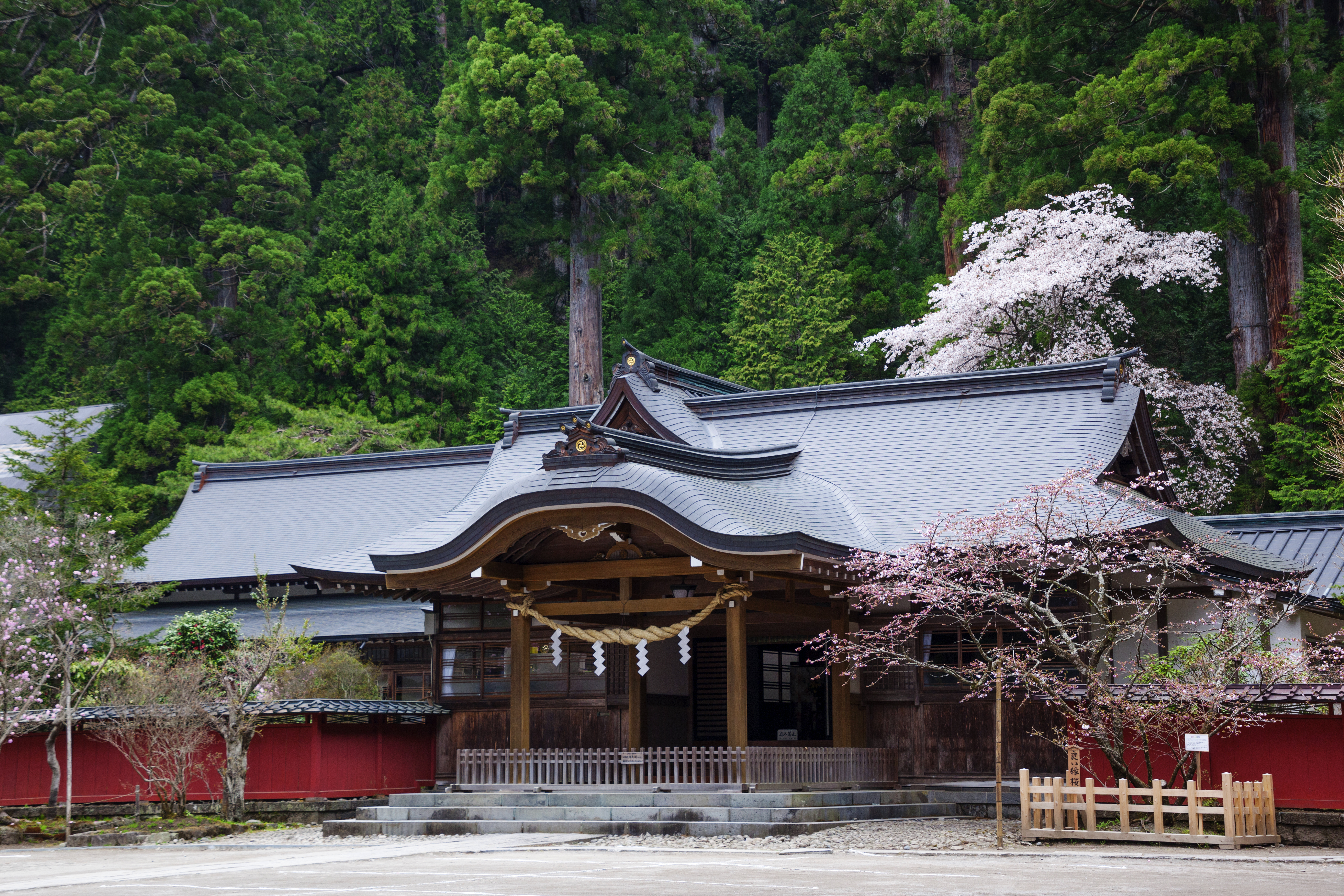 日光二荒山神社の最強ご利益と見どころ！縁結び・神橋・奥宮を徹底解剖