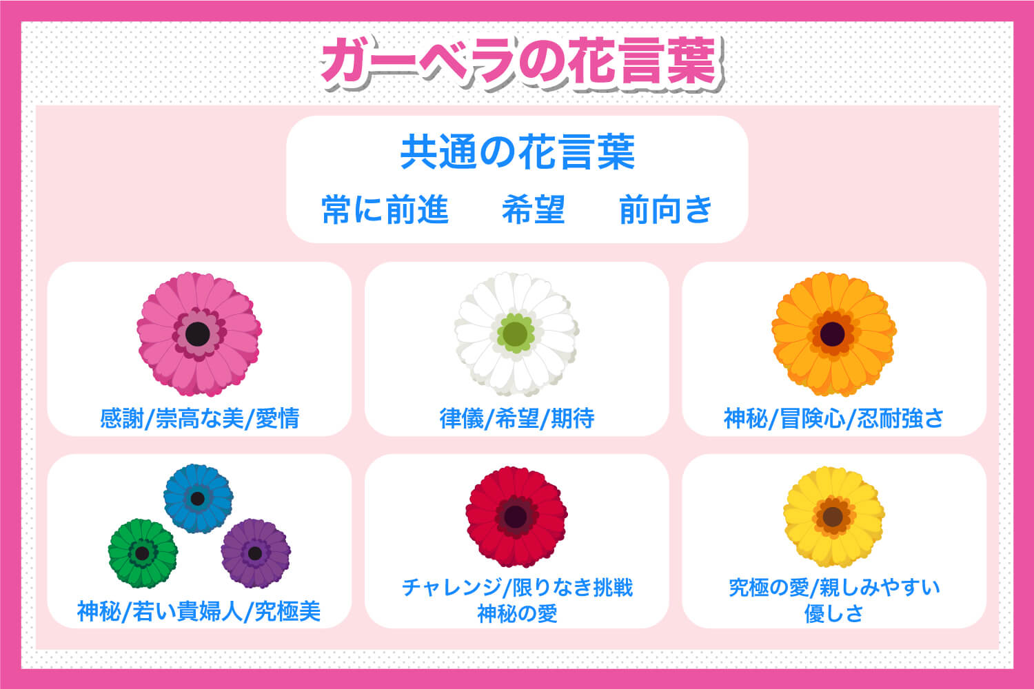 ガーベラの本数意味一覧！1本・12本・108本の真相と贈る注意点