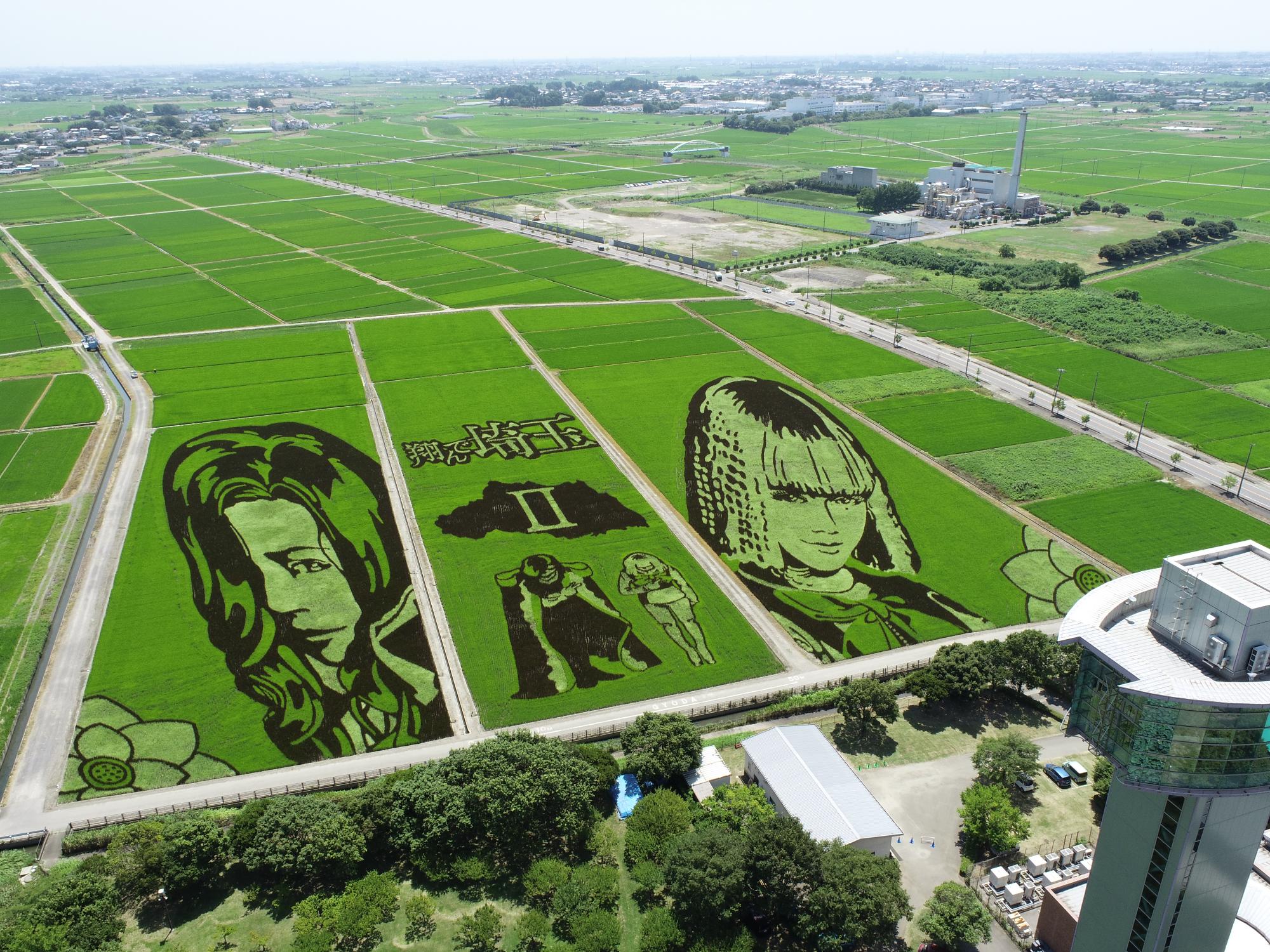 行田市田んぼアート完全攻略！見頃と歴代テーマの全貌【2026】