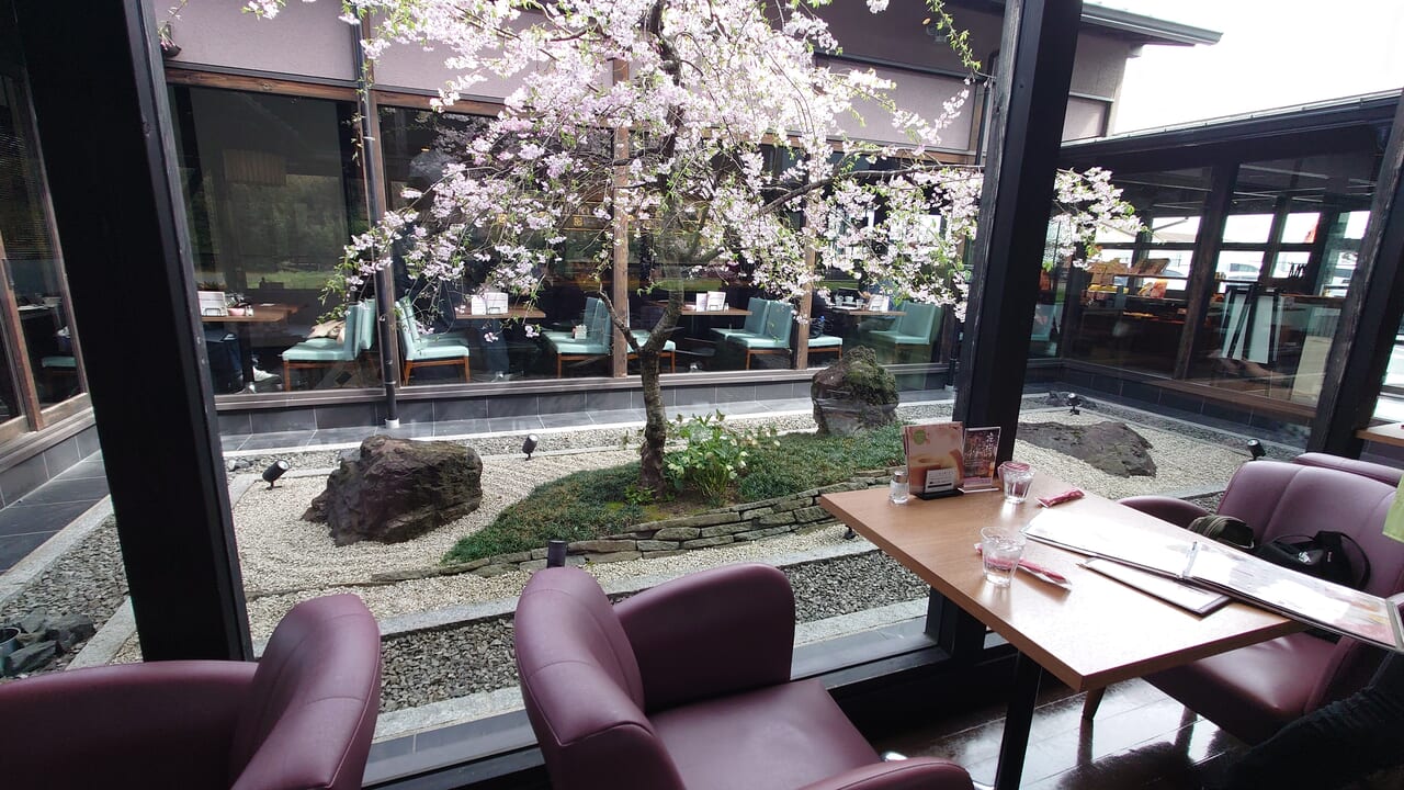 桜珈琲美原店の14時モーニングと絶景庭園！混雑回避と完全攻略法