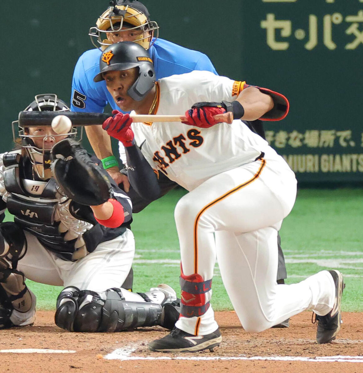 巨人・阿部監督のバント多用はなぜ？賛否両論の采配真相と勝率を徹底解剖