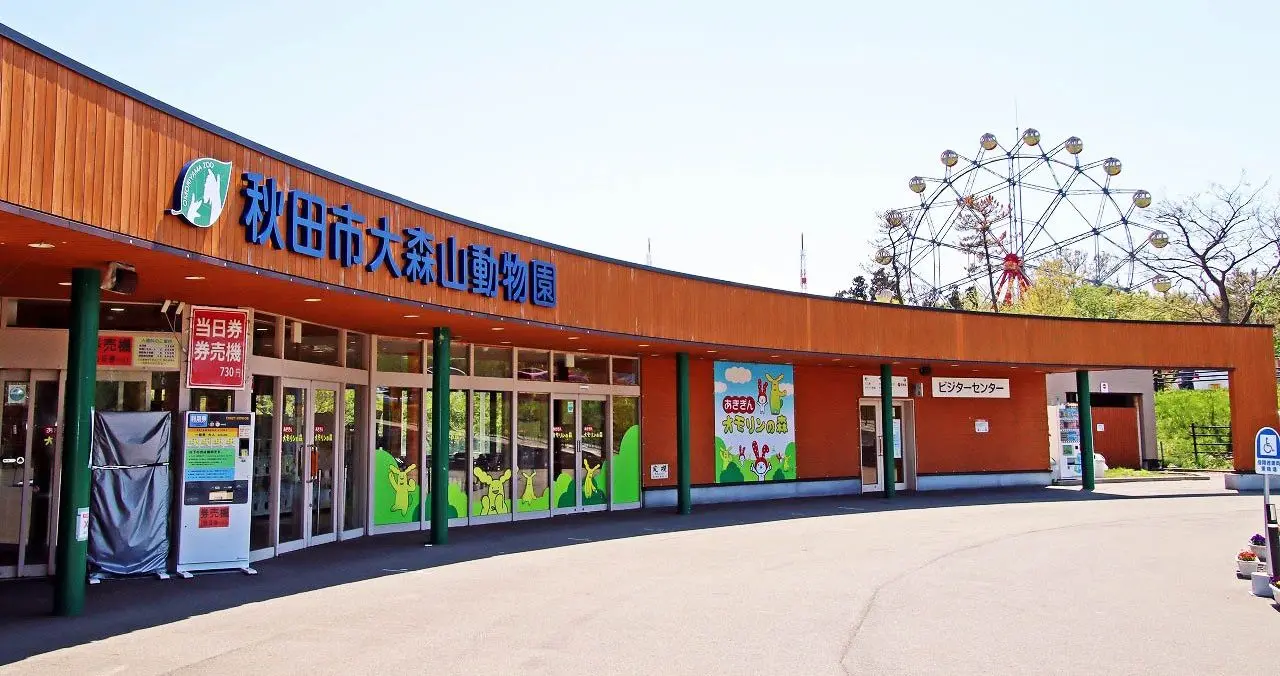 秋田市大森山動物園2026最新攻略｜料金・アニパ・混雑を徹底検証
