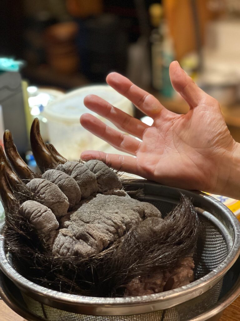 熊の手はなぜ右手だけ高額なのか？味・食感の真相と名店を徹底解剖