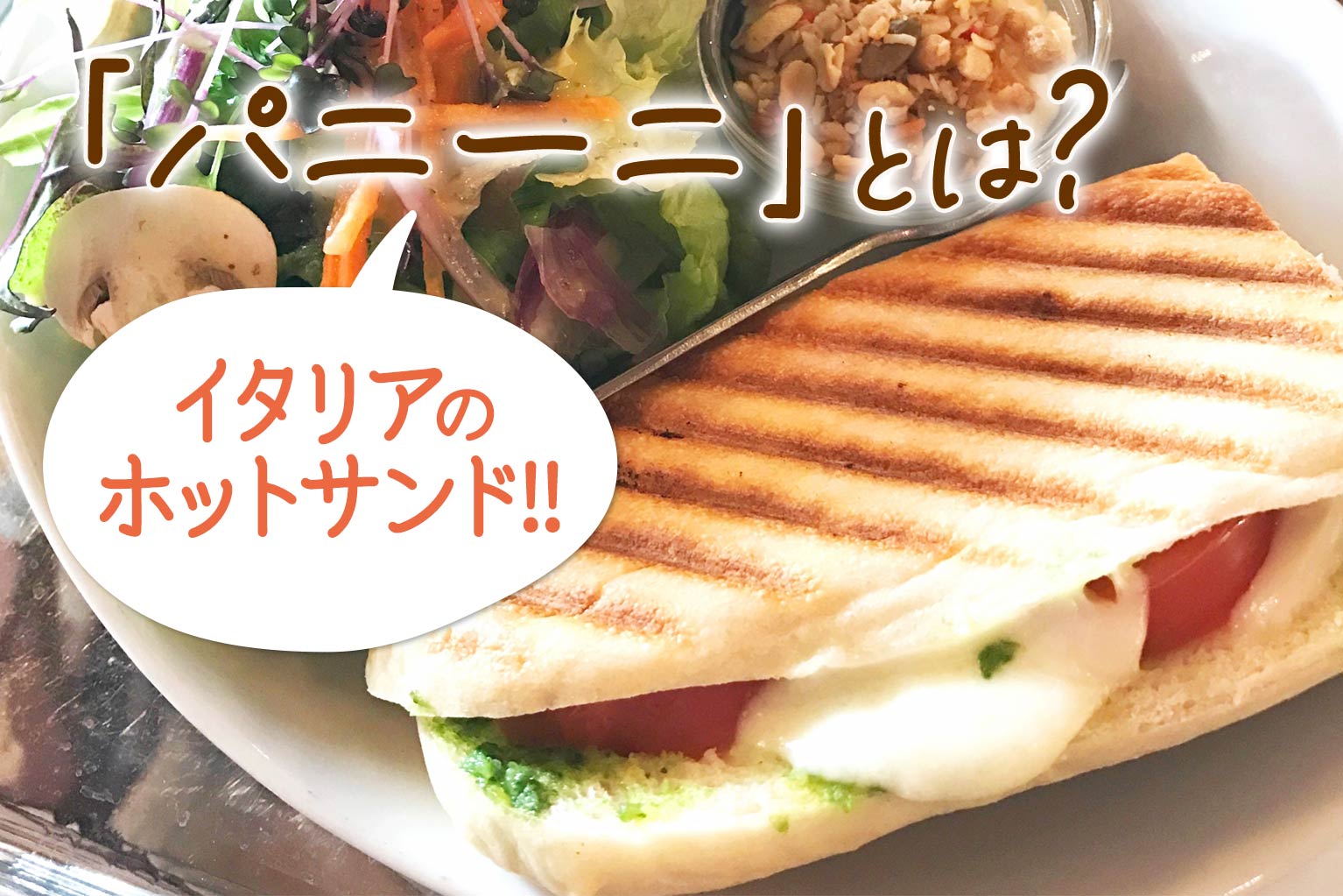 パニーニとは？ホットサンドとの違いや本格レシピ・焼き方の極意
