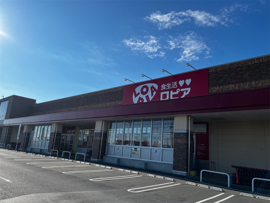 ロピアフォレオ菖蒲店完全攻略！混雑回避・人気惣菜とチラシの賢い活用術