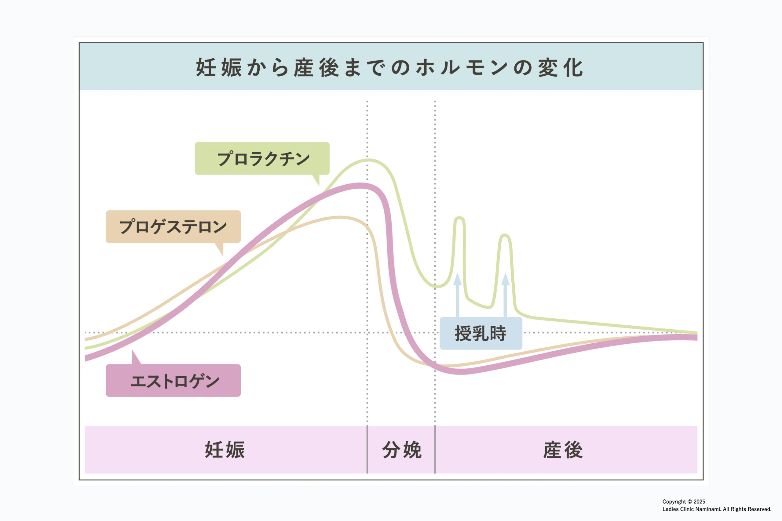 産後生理はいつから再開？完母・完ミの時期差や妊娠リスクを徹底解説