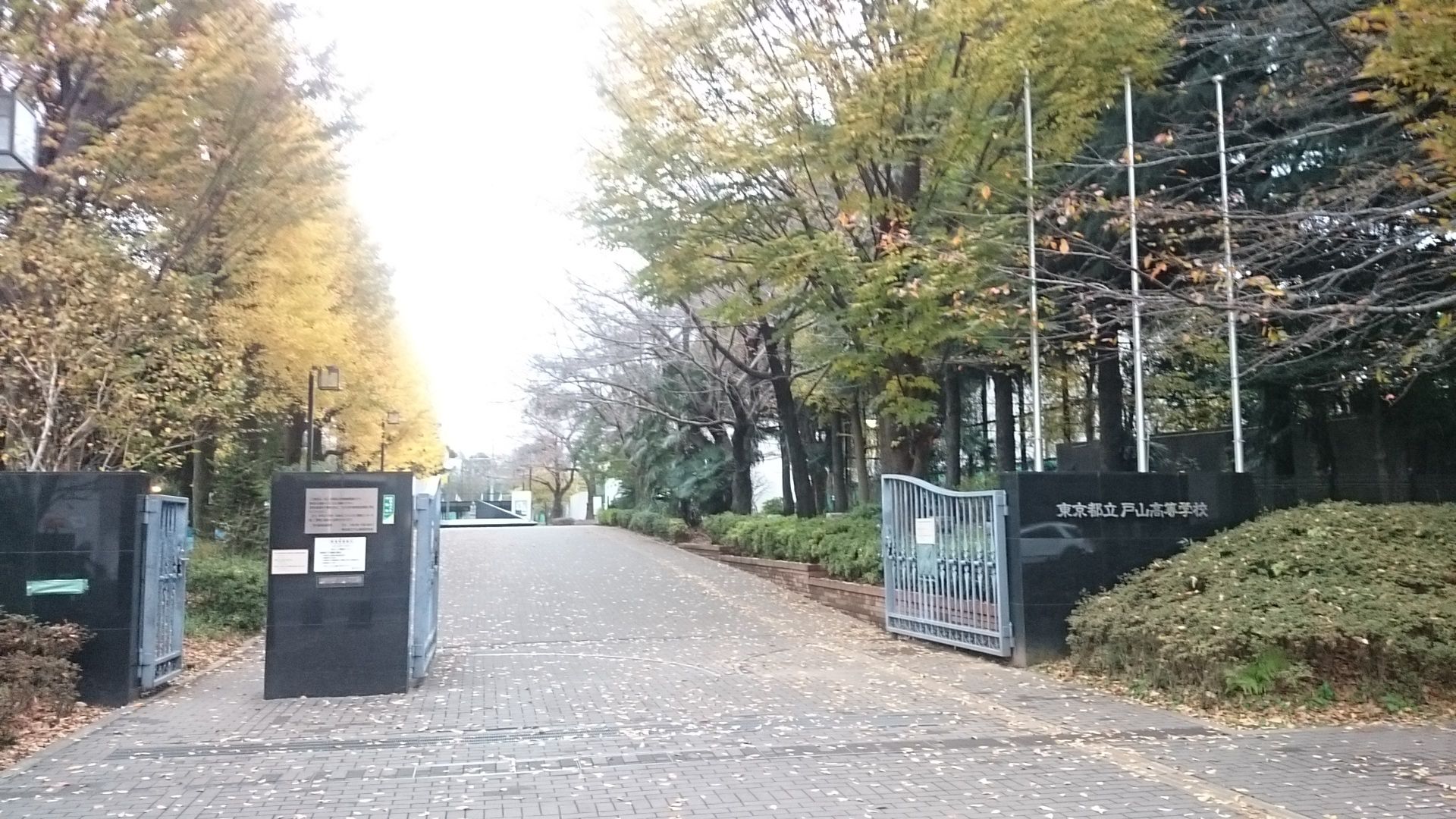 都立戸山高校の実績が急伸する理由｜2026年最新の倍率・偏差値とSshの全貌