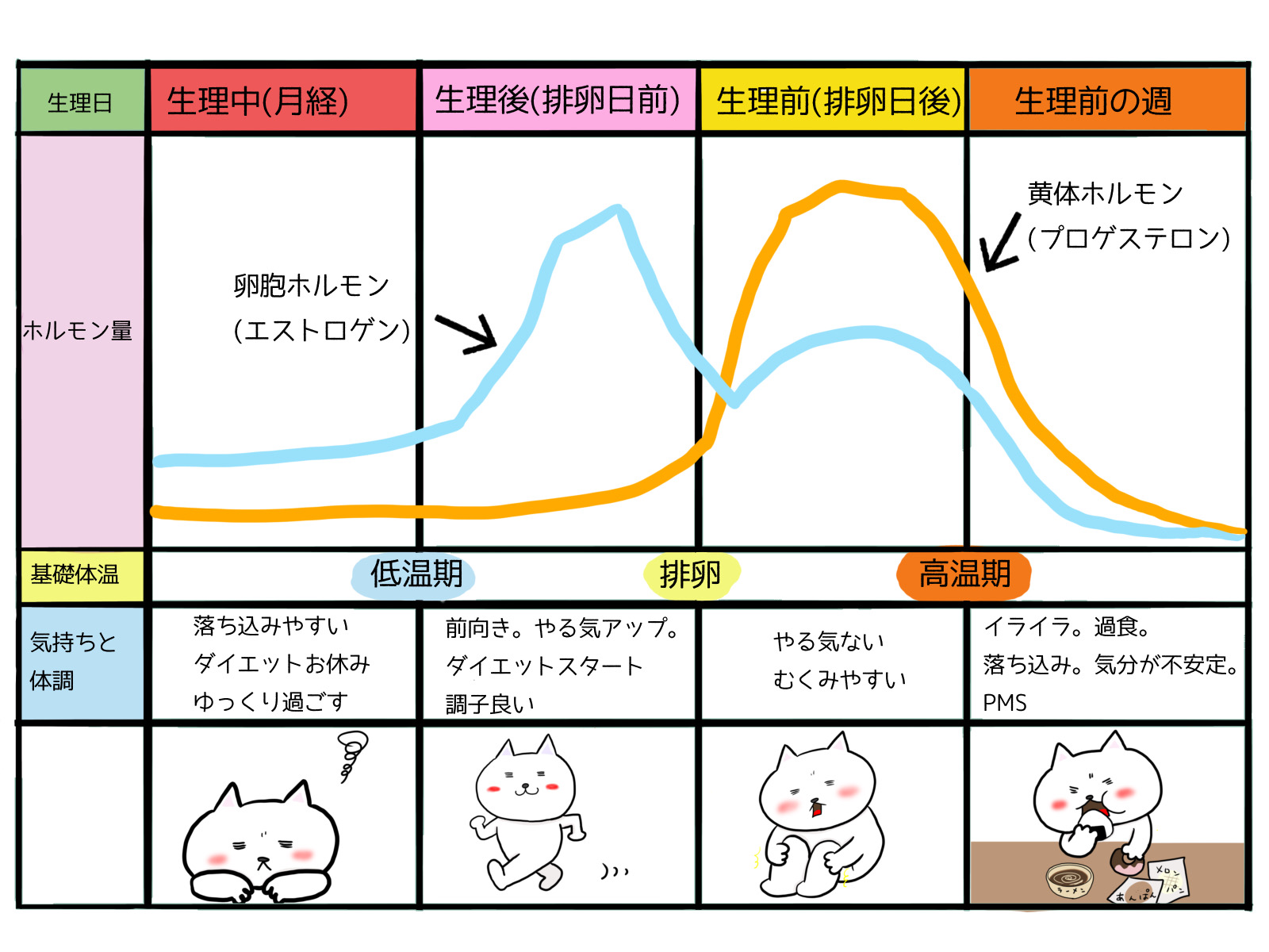 生理前の異常な食欲はなぜ？暴食を抑え体重増加を防ぐホルモン攻略法