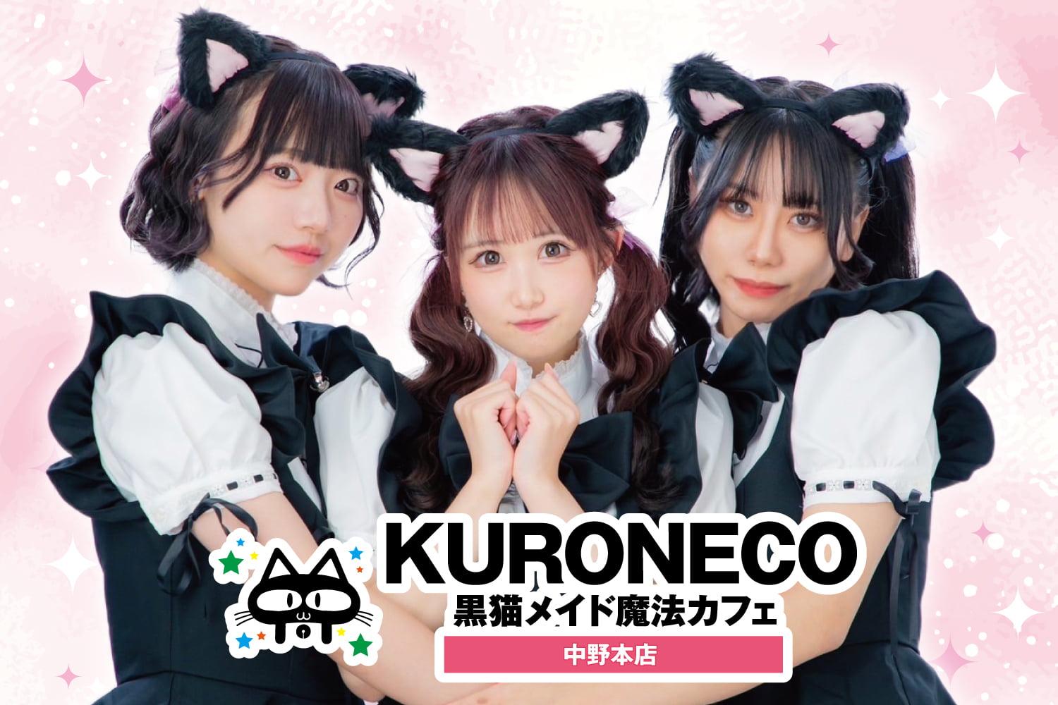 中野で噂の黒猫とは？話題沸騰の真相と人気スポットの評判を徹底解明