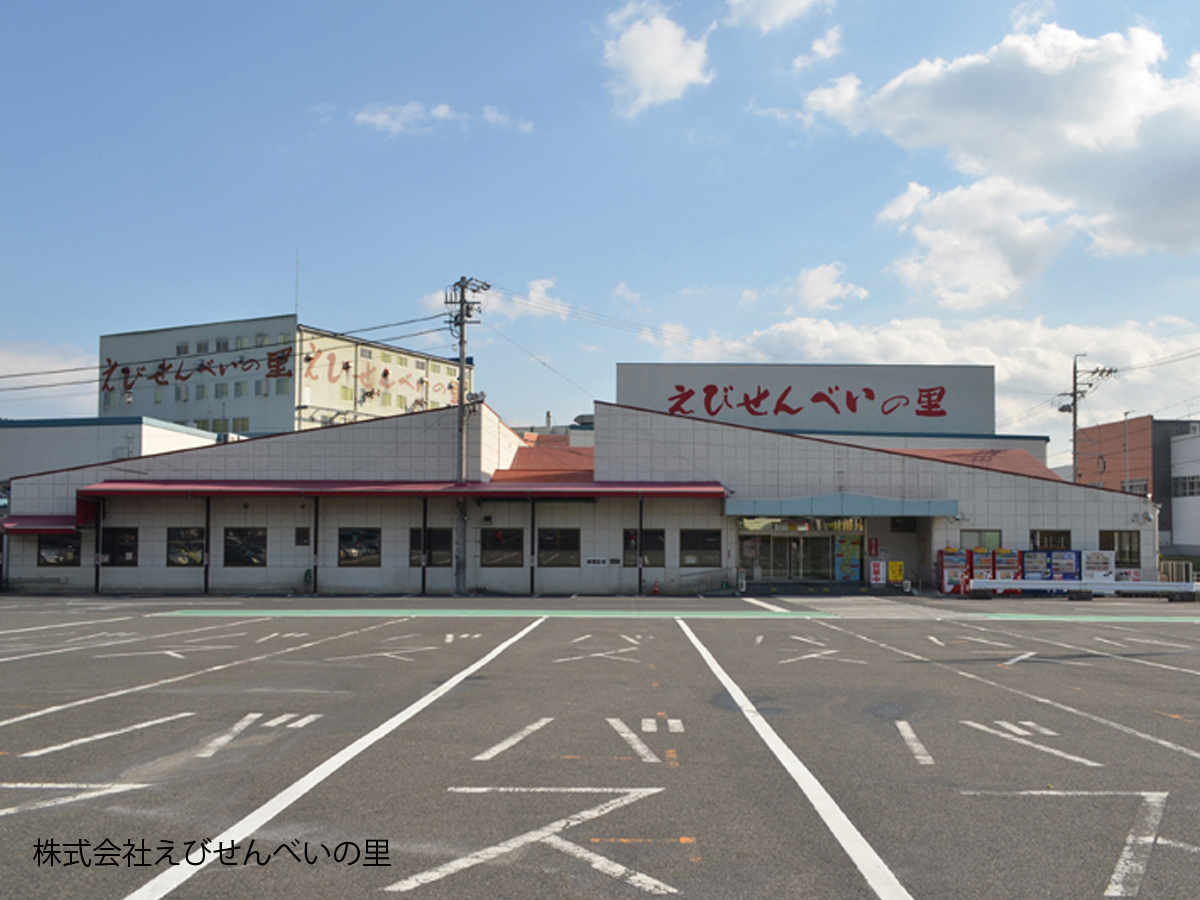 えびせんべいの里美浜本店2026徹底取材！試食の真相と混雑回避術