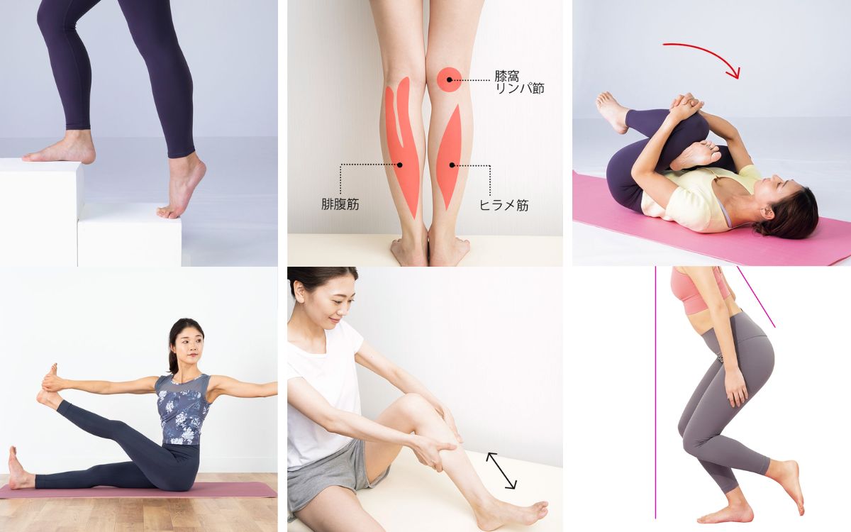 足が細くなるストレッチの真実！太もも激変の理由とプロ直伝メソッド