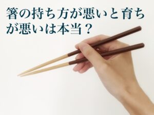 【経歴】 箸 の 持ち 方 汚い 2026年最新芸能速報 #724