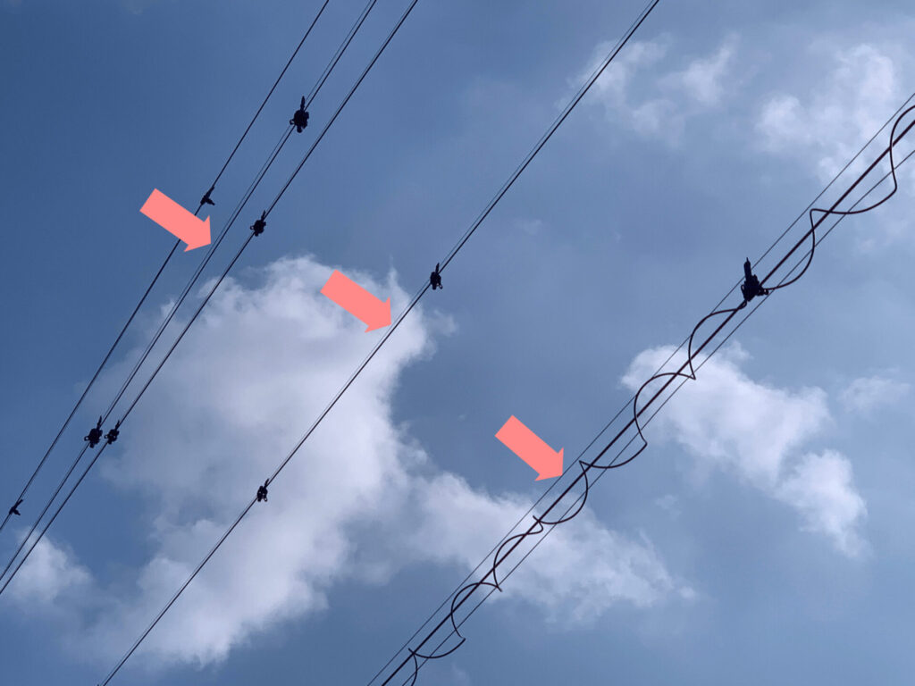 電線の鳥よけは無料で電力会社へ！申請手順と最新効果を徹底検証
