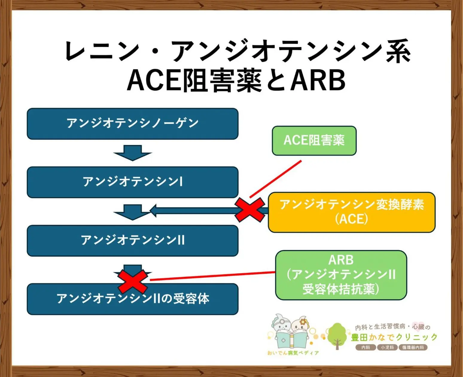 Ace阻害薬の真実｜空咳の正体とArbとの違い・最新の選び方