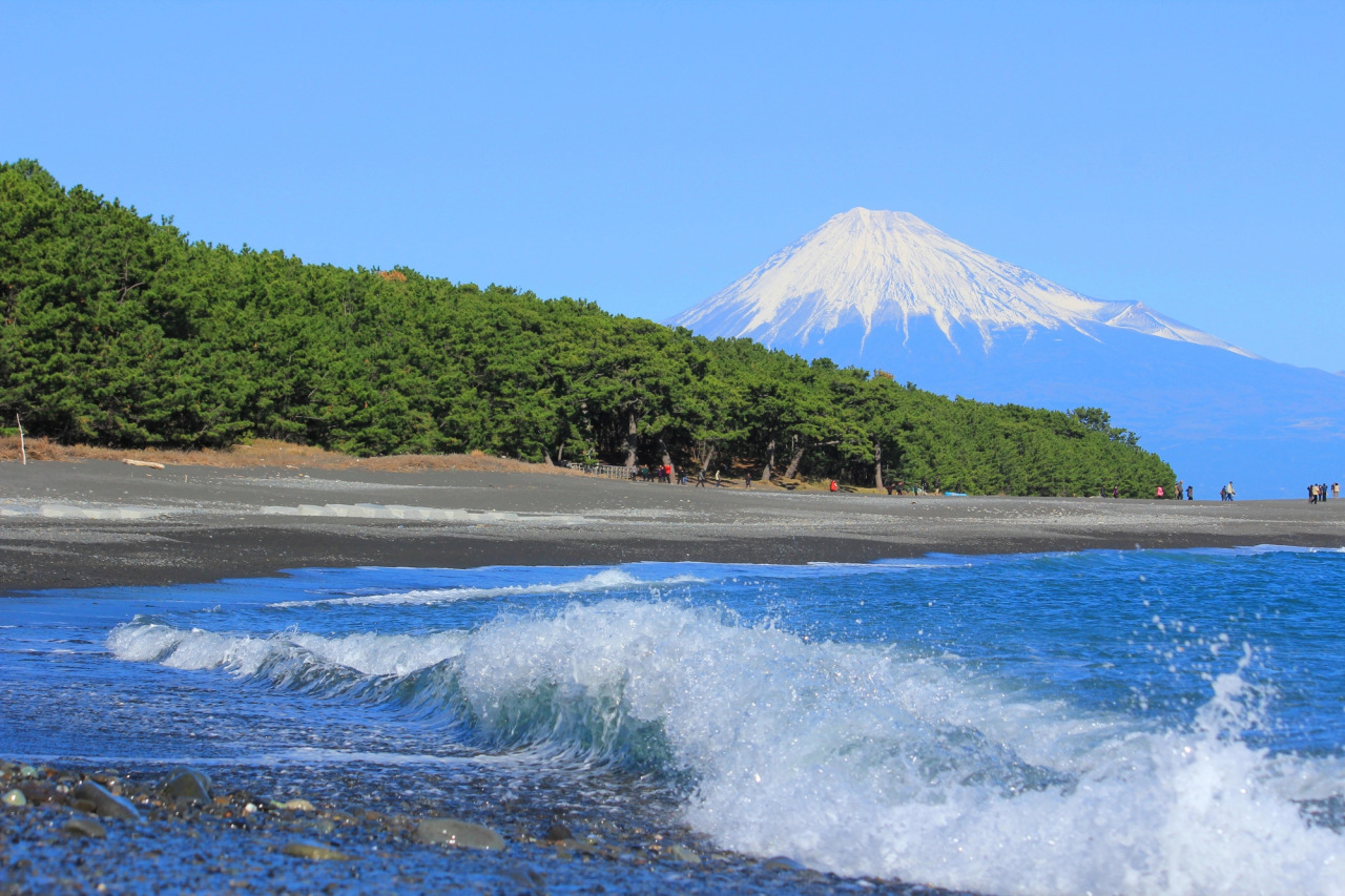 三保の松原で富士山絶景を満喫！がっかりの真相と2026年最新攻略法