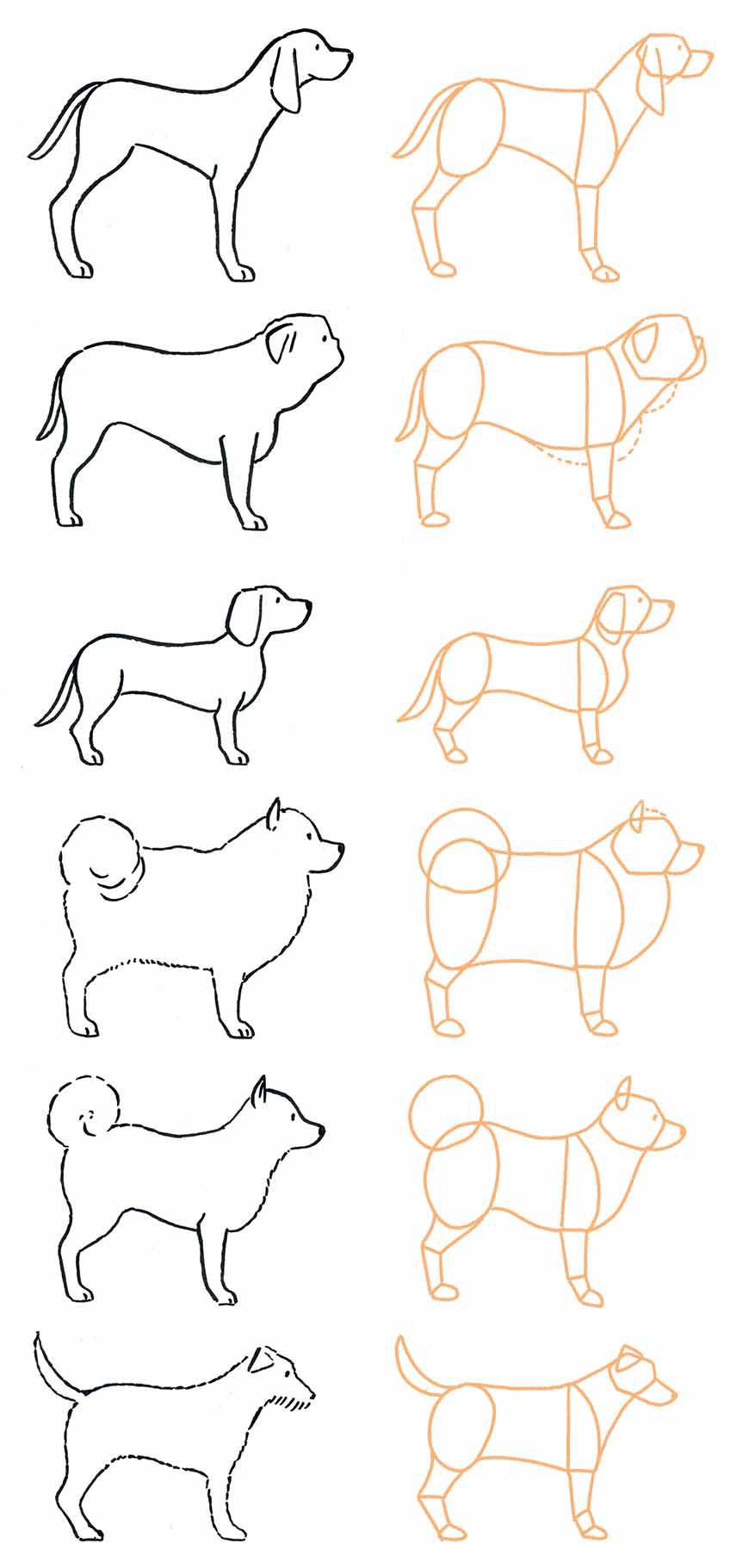 犬の書き方を徹底解説！丸と三角で劇的にかわいく描ける黄金比率の秘密