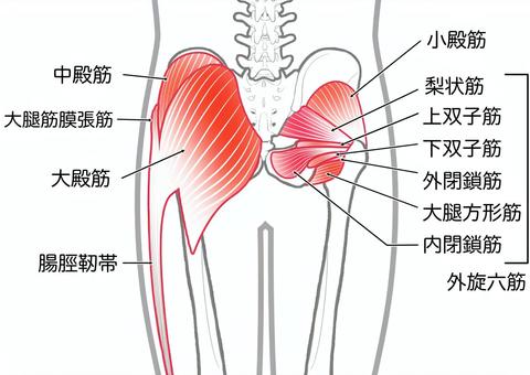 【画像あり】 尻 に 敷 かれる と は 話題のバズ動画・画像 #623