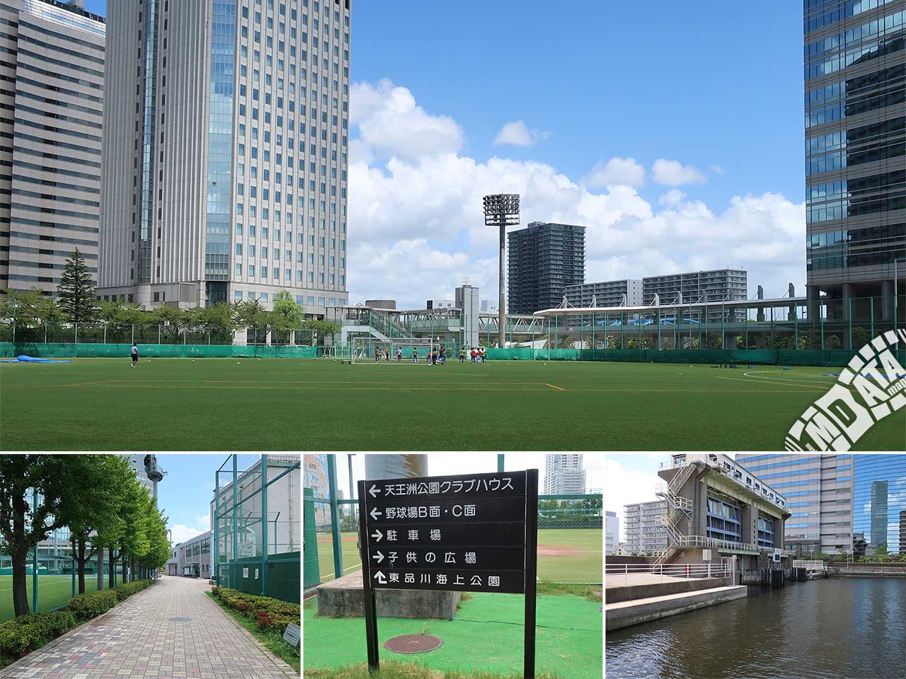 天王洲公園サッカー場の予約方法と料金｜人工芝や倍率の真実を徹底解剖