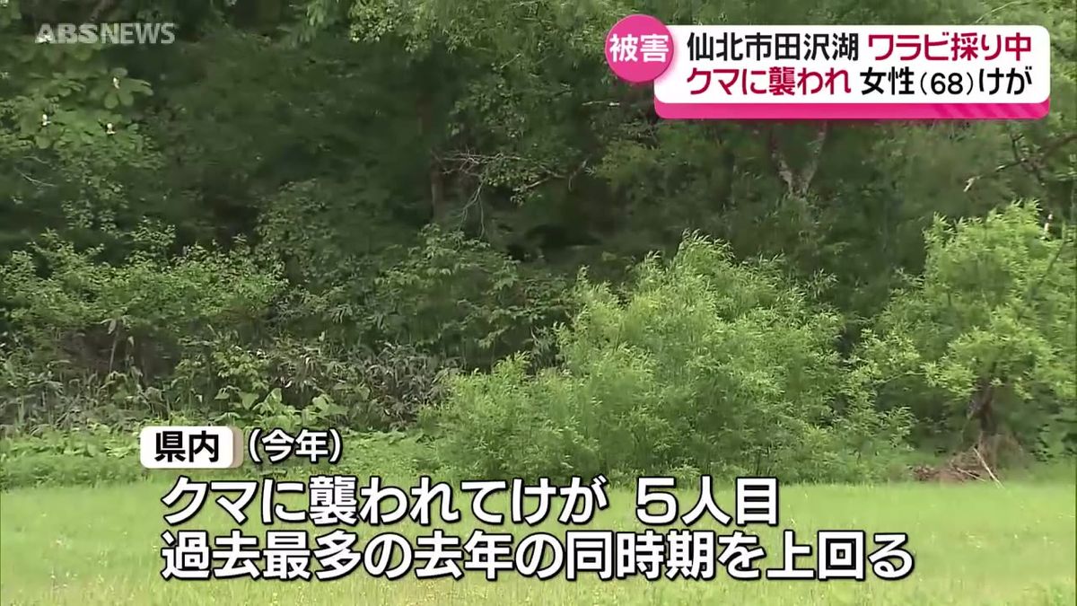 長岡京ワラビ採り事件の全貌｜「オワレている」メモの謎と時効後の真相考察