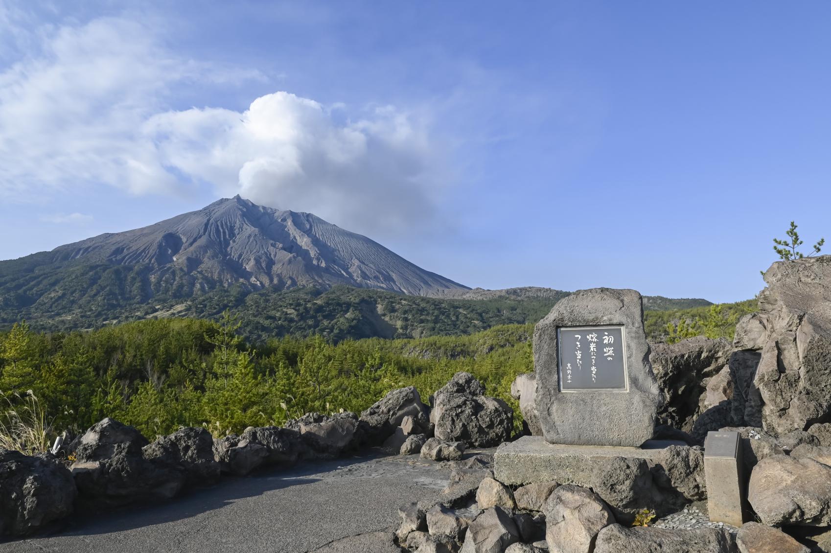 桜島の噴煙と鳴動に迫る有村溶岩展望所！絶景の見どころと観光完全ガイド