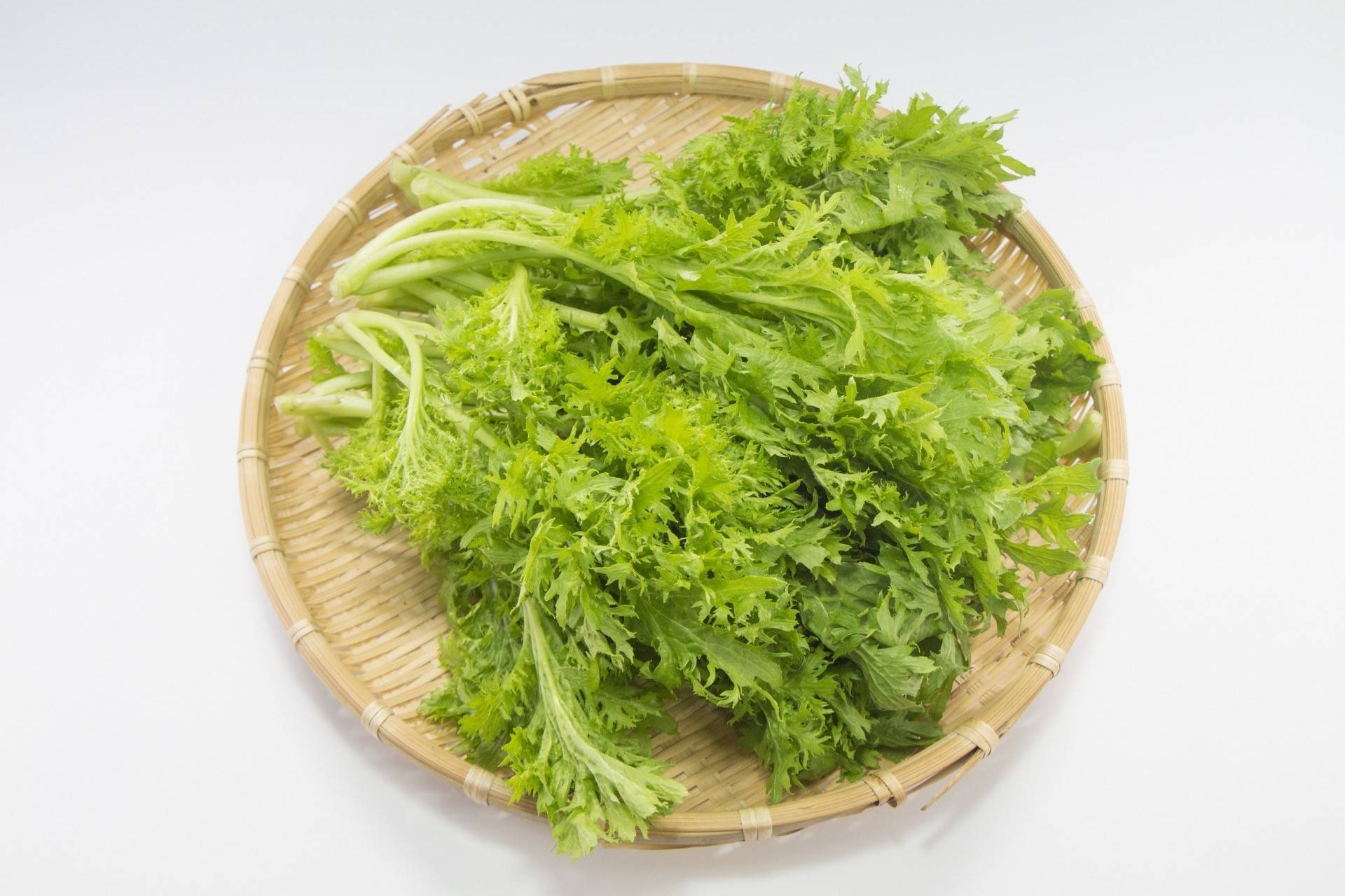 わさび菜の栄養が凄すぎる理由とは？成分の健康効果と損しない食べ方を徹底解説