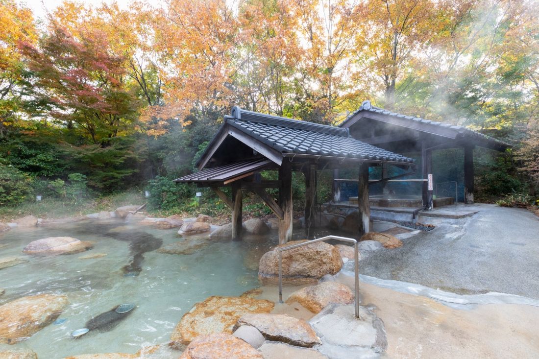湯の川温泉で本当に泊まるべき宿は？2026年最新の評判と選び方を検証