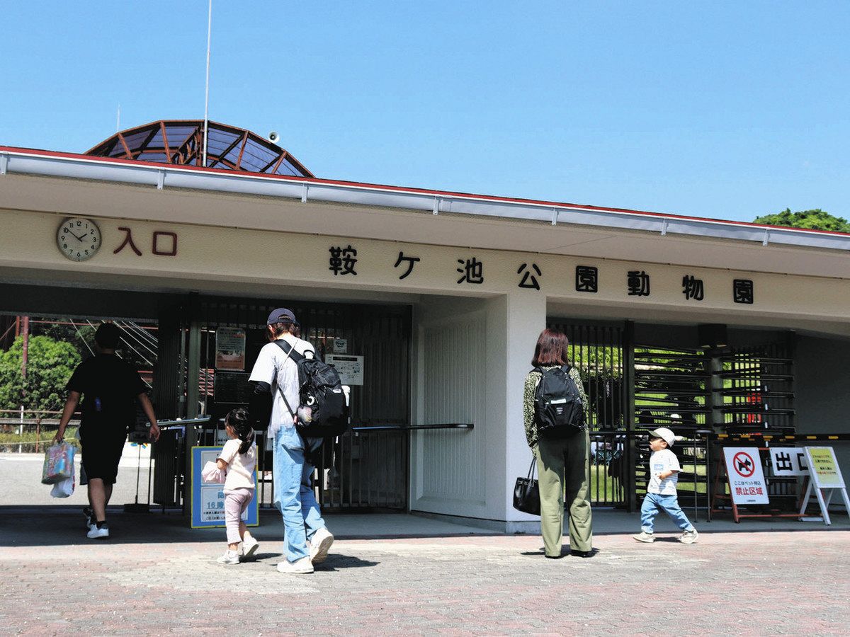 豊田市の動物園はなぜ無料？鞍ヶ池公園の最新見どころと混雑完全解説