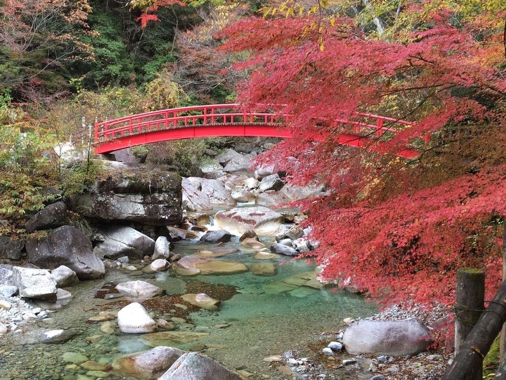 夕森渓谷の真価2026｜竜神の滝と圧巻紅葉・キャンプ場攻略の全貌