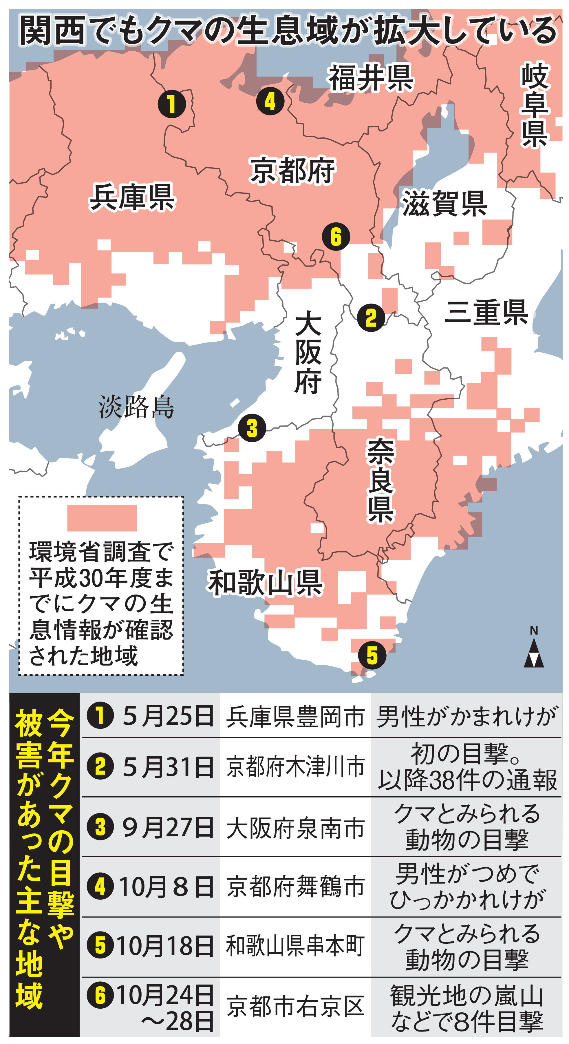 嵐山で熊出没「2026年最新」目撃場所と現在の状況、安全対策を徹底解説