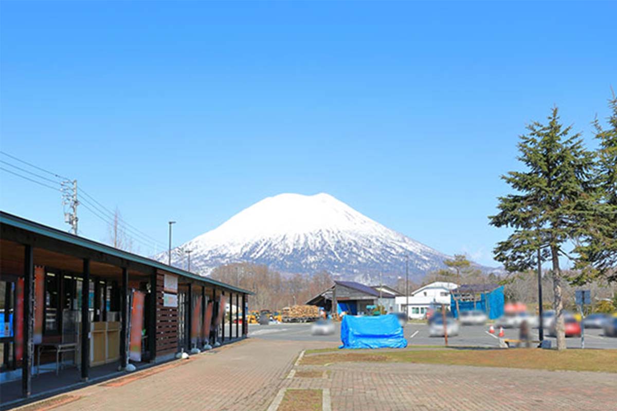 道の駅ニセコビュープラザ人気の秘密！朝採れ争奪戦と2026年最新攻略