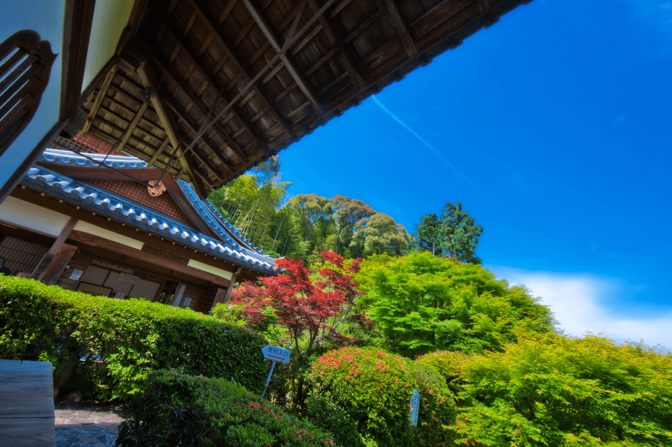 【2026年最新】京都・嵐山でいま「鈴虫寺」を目指す旅人が絶えない理由——わらじを履いたお地蔵様と鈴虫の音色が紡ぐ、令和の静寂と願い
