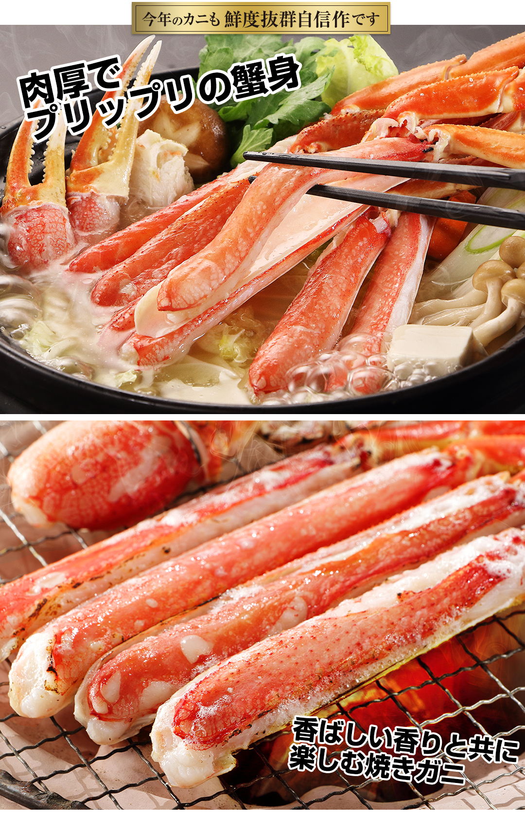 本ズワイガニと紅ズワイガニの違いを徹底解明！味・値段の差と選び方