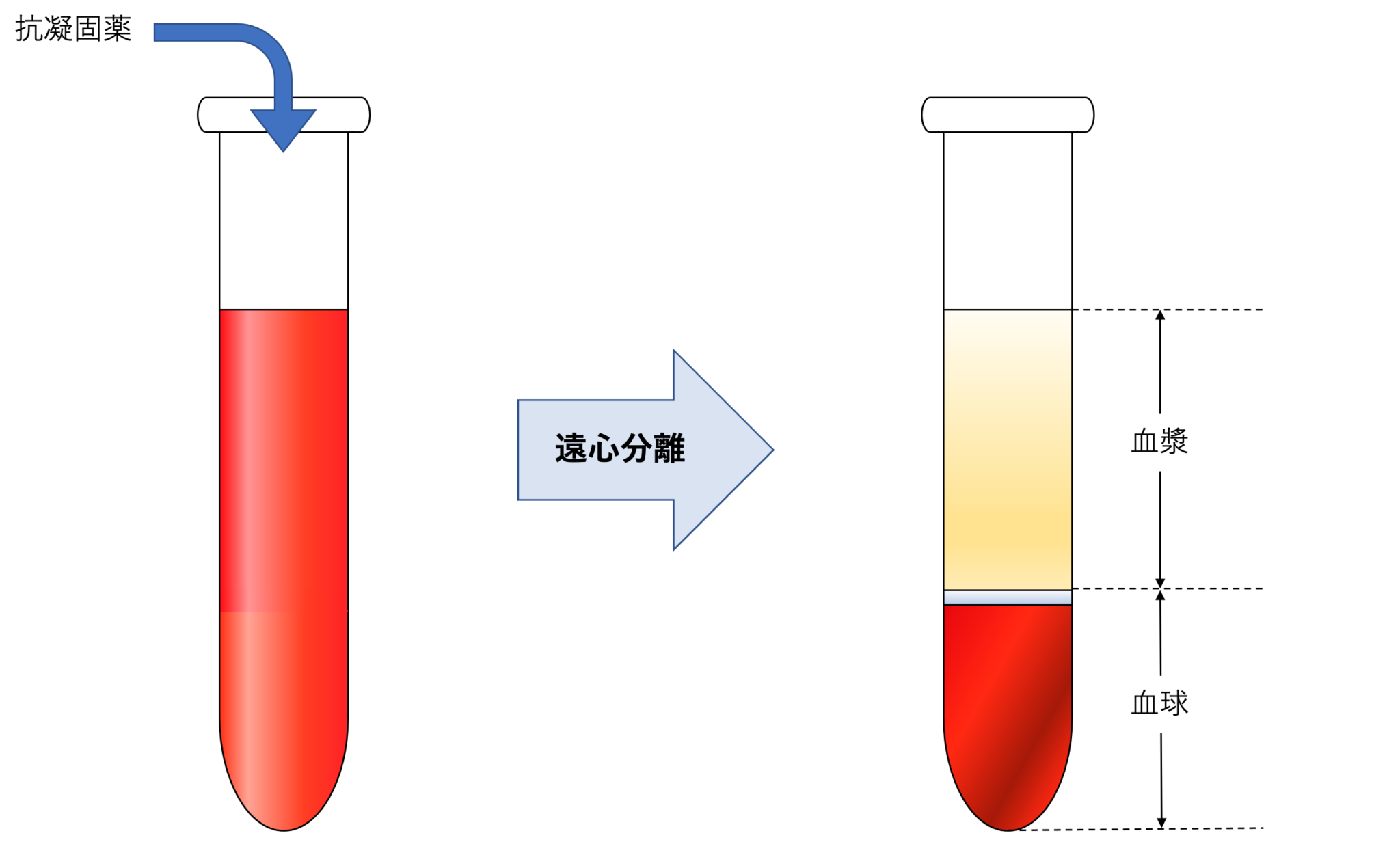 血液型と性格の真実｜科学的根拠の有無と4タイプの最新特徴を徹底検証