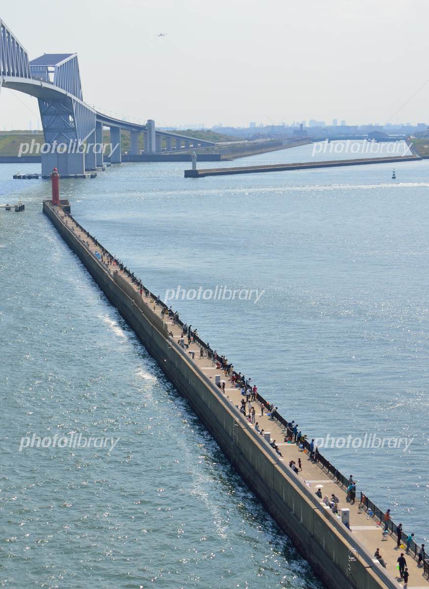 若洲海浜公園海釣り施設を徹底解剖！2026年最新釣果と混雑対策