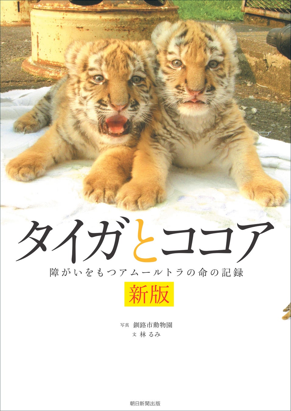 アムールトラ「ココア」奇跡の生涯｜兄タイガとの絆と感動の全記録