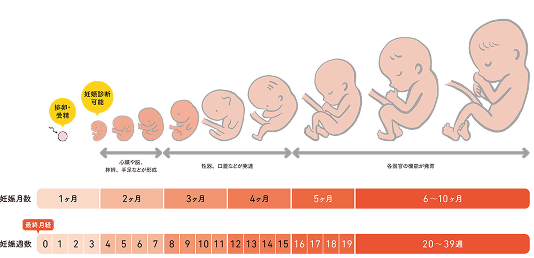 妊娠前にやっておけばよかった後悔ランキング！先輩ママの最新準備リスト