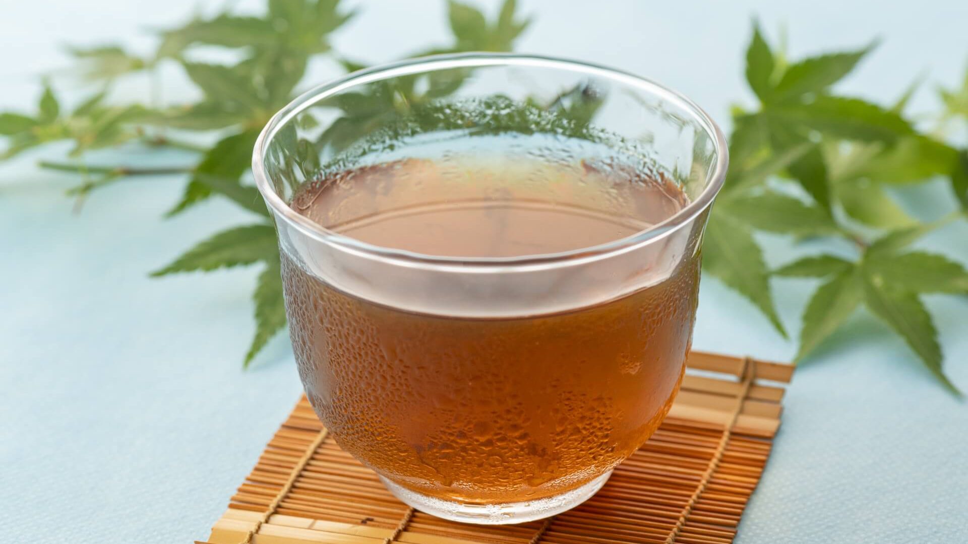 菊芋茶の効能と血糖値ケアの真実！イヌリンの効果と失敗しない飲み方