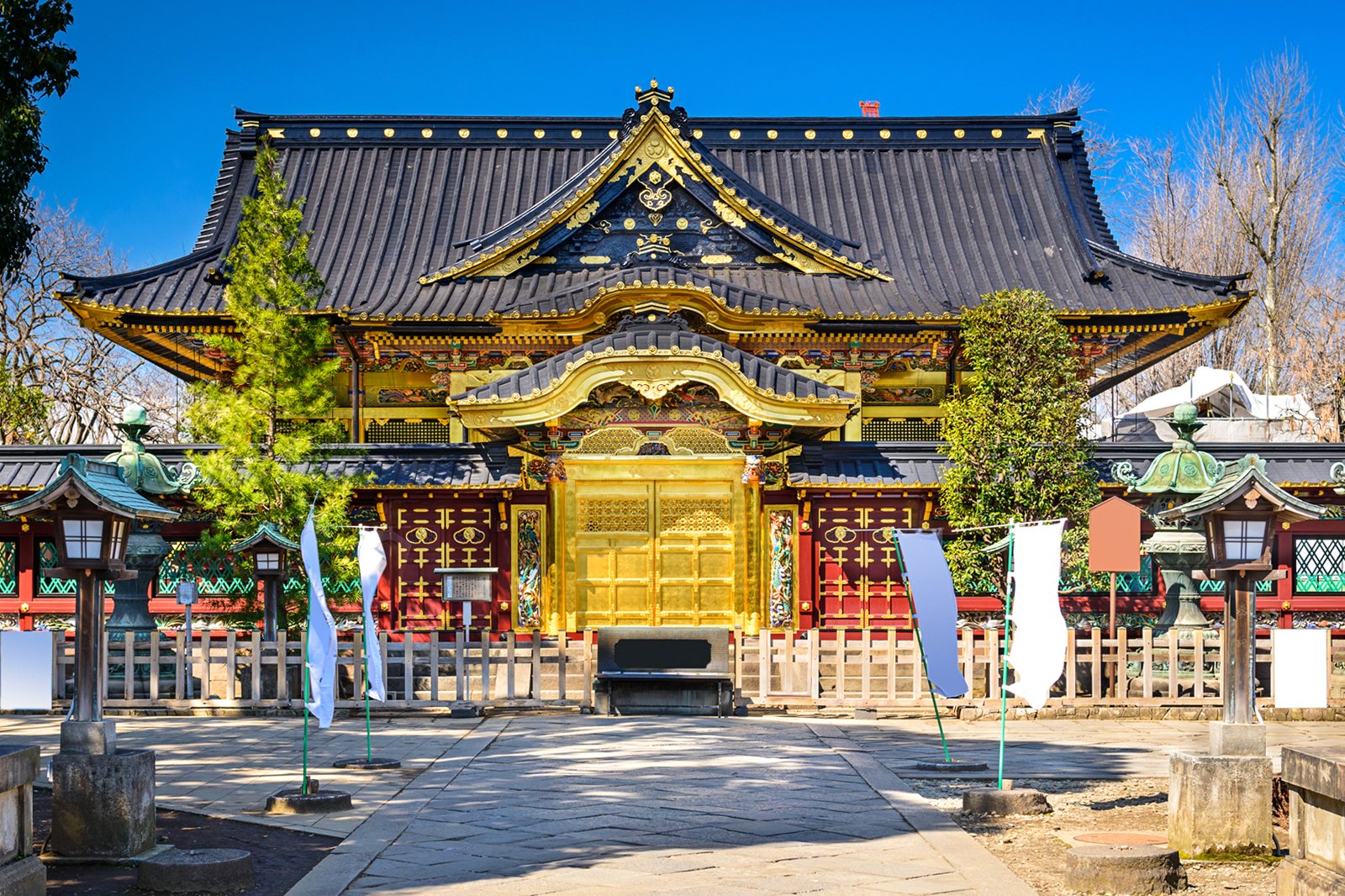 2026年最新取材：静寂と覚醒を求めて歩く「関東の神社リトリート」——いま本当に訪れるべき聖地と心の再生術
