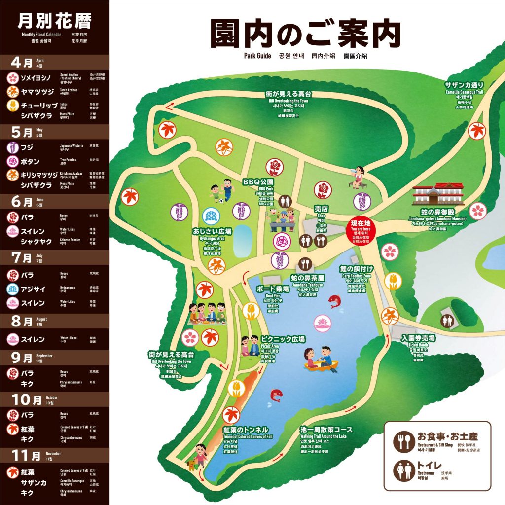 蛇の鼻遊楽園の全貌｜2026年最新の開花状況と御殿の歴史・攻略法