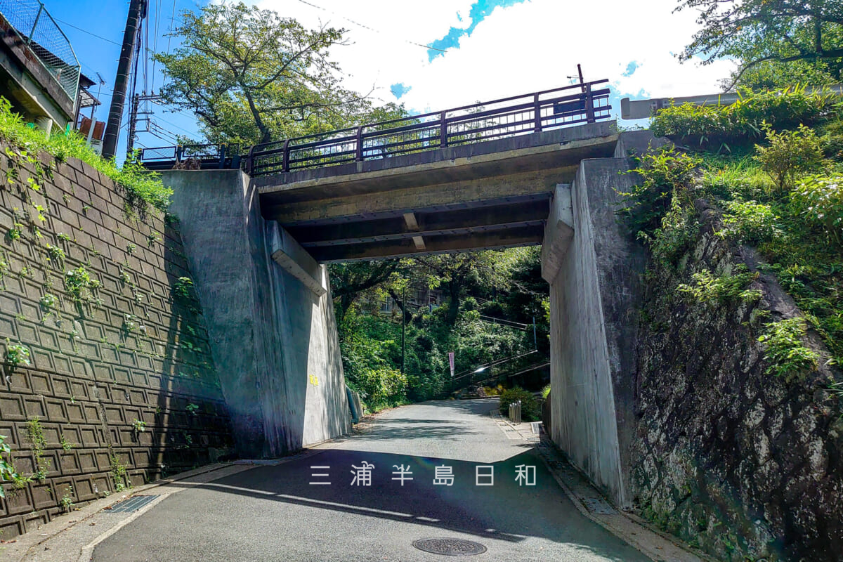 なぜ螺旋に？のの字橋の驚異的構造と全国名所の歴史・走行の真実