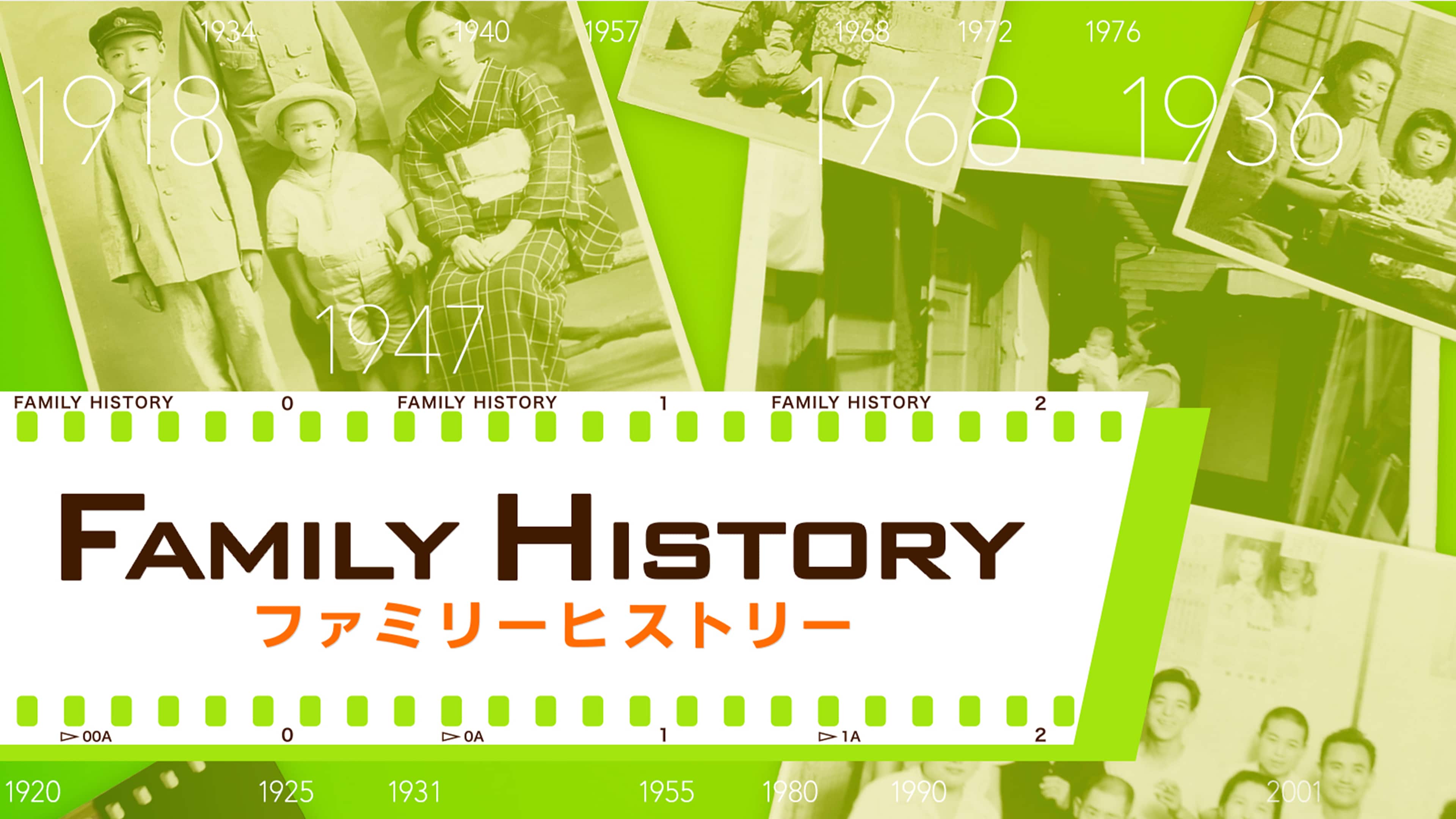 ファミリーヒストリー再放送2026最新日程と過去神回を無料視聴する裏ワザ