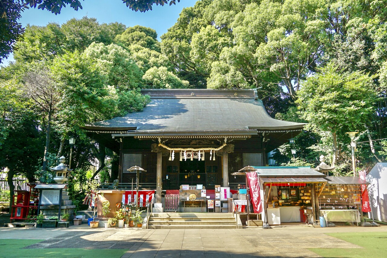 太子堂八幡神社が話題の理由とは？限定御朱印とうさぎの全貌【2026】