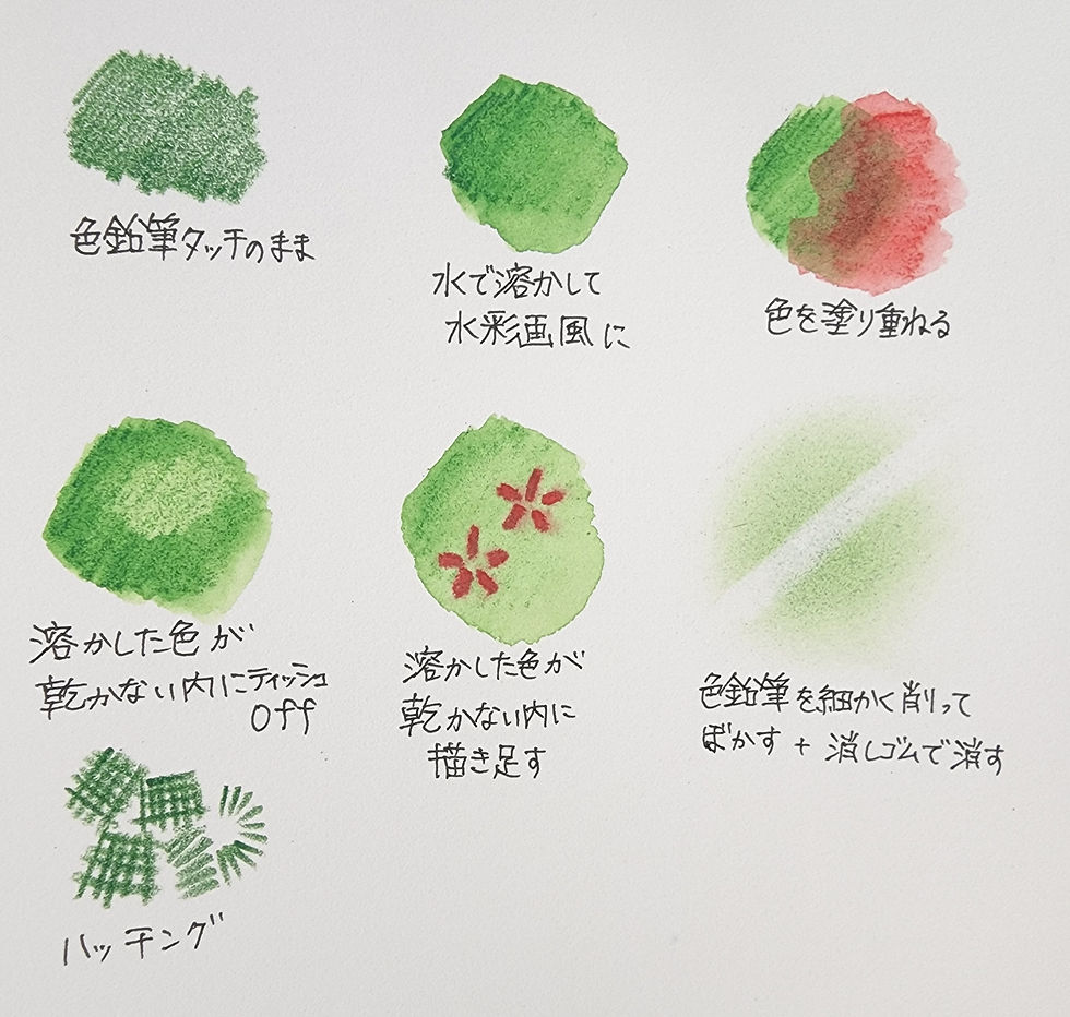 水彩色鉛筆の使い方が激変！プロ級の透明感を宿す塗り方と道具の極意