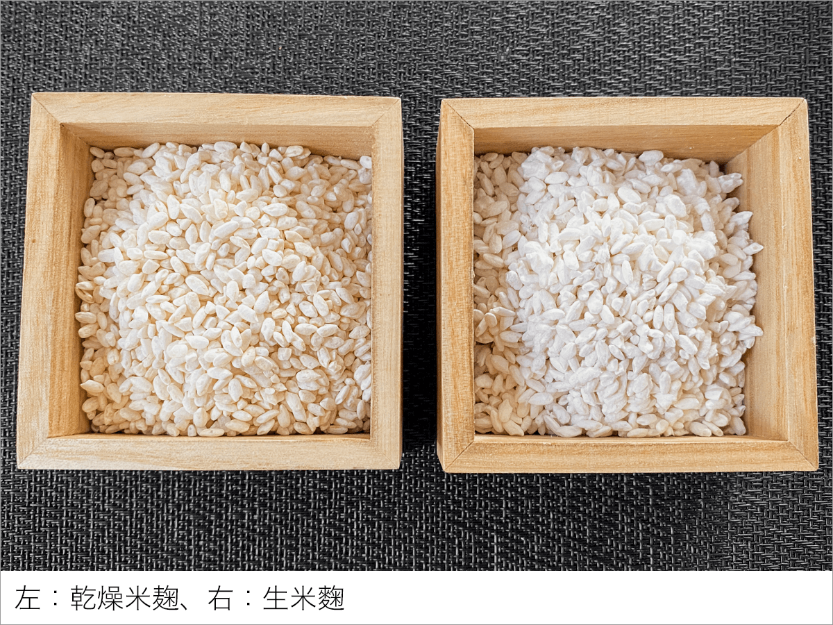 乾燥麹と生麹の違いとは？風味や酵素の差から失敗しない換算比率まで徹底検証