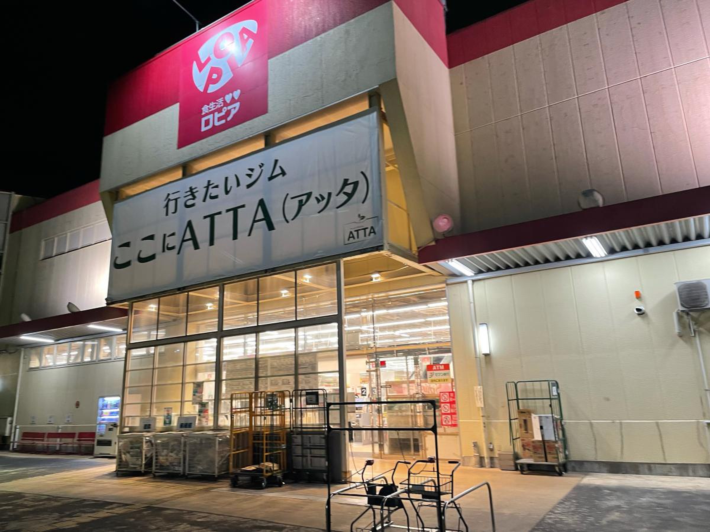 ロピア綾瀬店の混雑回避と安さの秘密！惣菜・お肉攻略ガイド2026