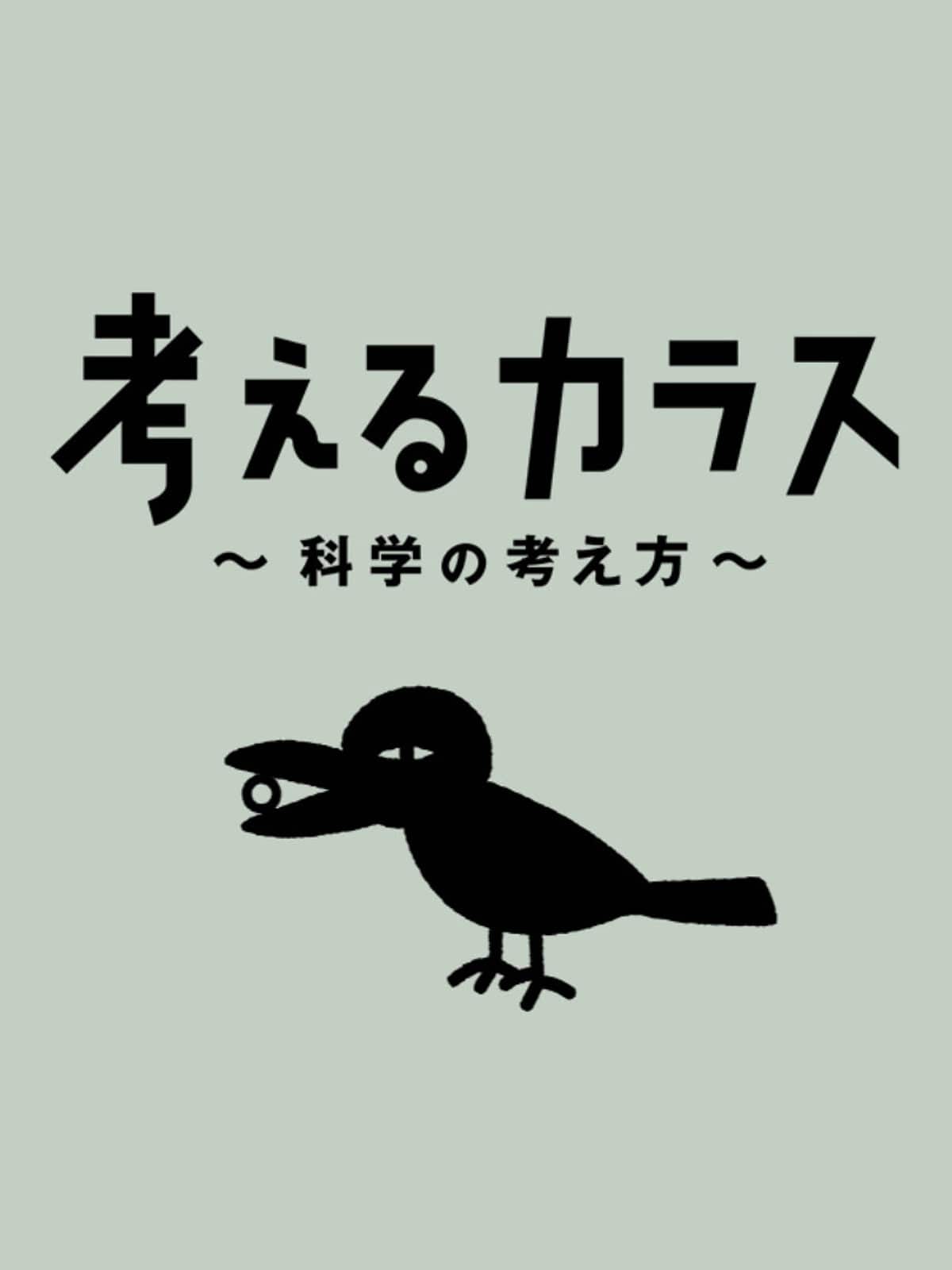 Nhk『考えるカラス』なぜ答えを言わない？制作の狙いと実験の結末