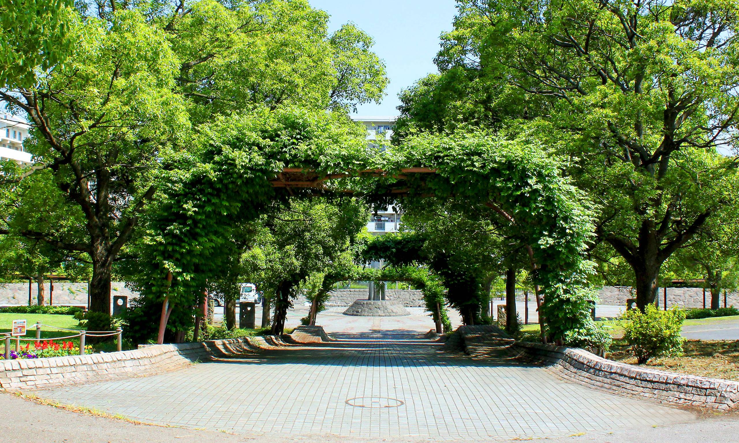 2026年最新：都市と野生動物が共生する絶景オアシス「長浜 公園」の今——野鳥観察・スポーツ・四季の魅力を徹底現地取材