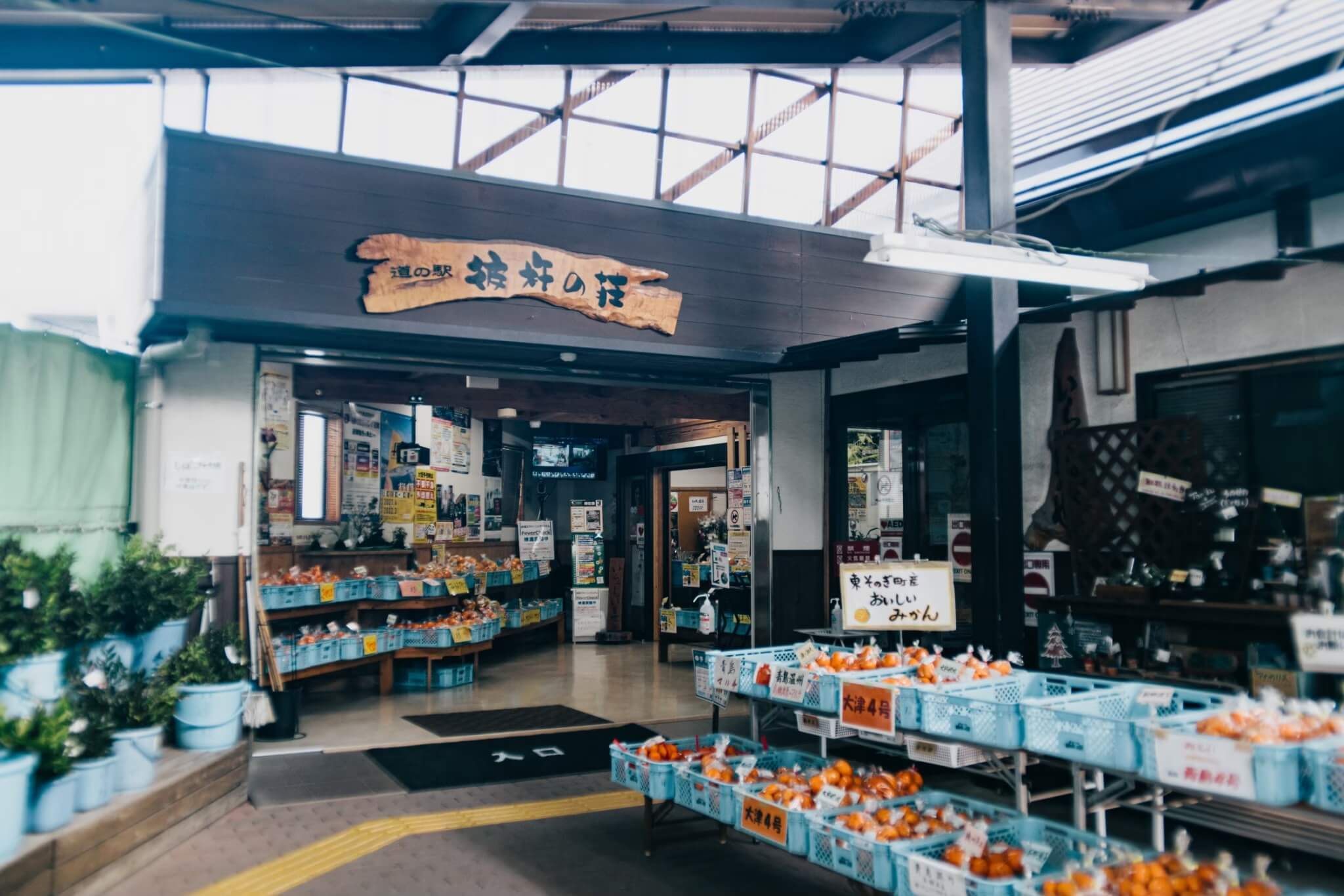道の駅彼杵の荘の魅力解剖！そのぎ茶とくじらグルメが惹きつける真実