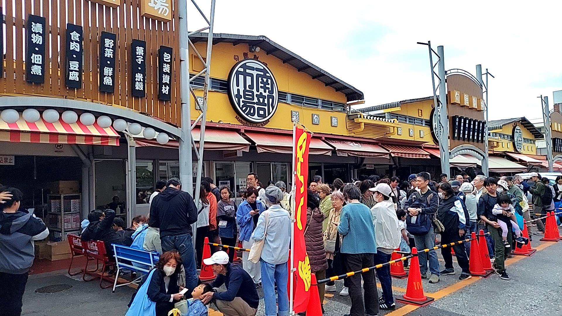松戸南部市場を完全攻略！プロが選ぶ新鮮食材とお宝市の魅力とは